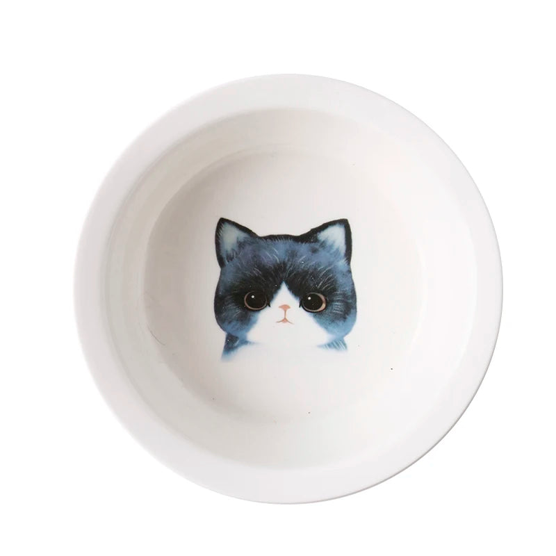 Raised Ceramic Food & Water Set