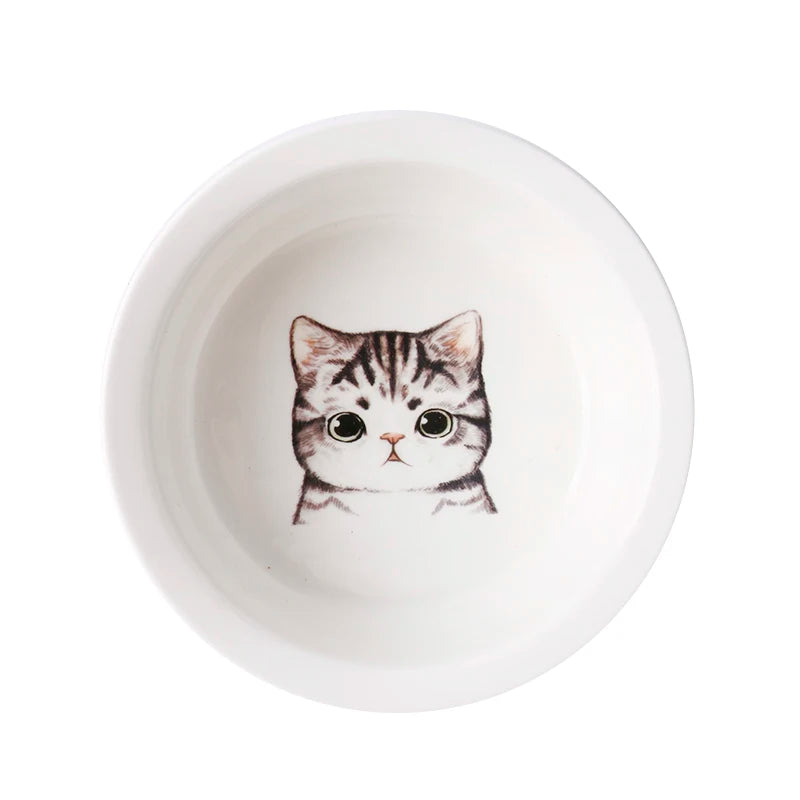 Raised Ceramic Food & Water Set