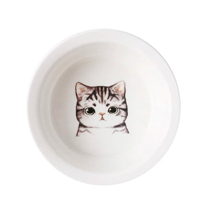 Raised Ceramic Food & Water Set