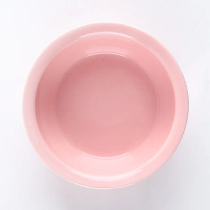 Raised Ceramic Food & Water Set