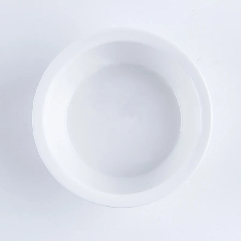 Raised Ceramic Food & Water Set