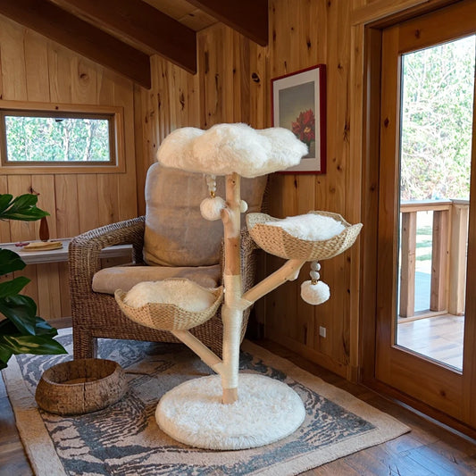 Árbol para gatos de madera maciza — Postes de sisal y nido doble