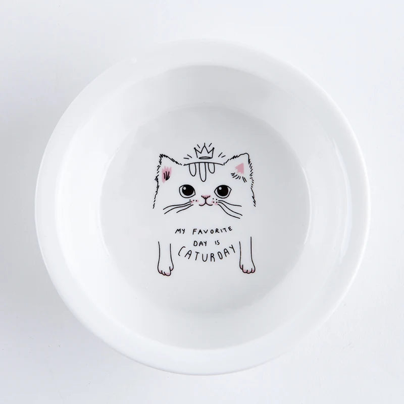 Raised Ceramic Food & Water Set