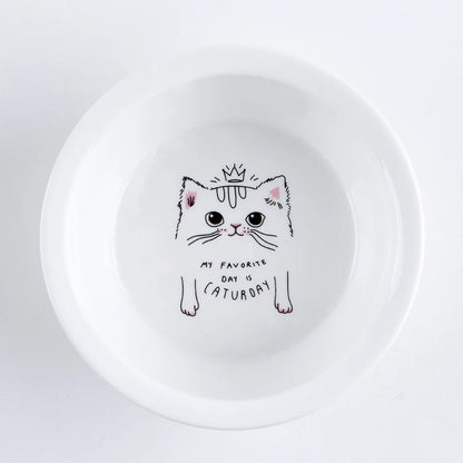 Raised Ceramic Food & Water Set