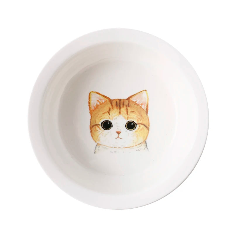 Raised Ceramic Food & Water Set