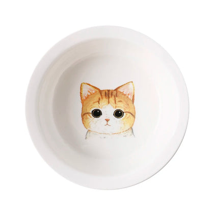 Raised Ceramic Food & Water Set