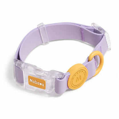 Pastel Silicone Lightweight and Easy To Clean Adjustable Pet Collar Designed for Small Dogs