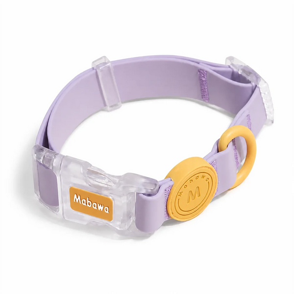 Pastel Silicone Lightweight and Easy To Clean Adjustable Pet Collar Designed for Small Dogs