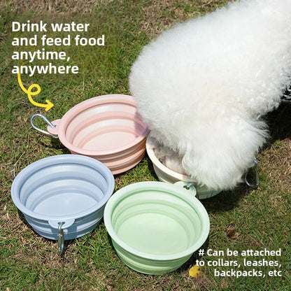 Fold-Flat Travel Bowl — Vet Trips & Weekends Away