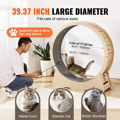 Wooden Cat Exercise Wheel — Indoor Running Track