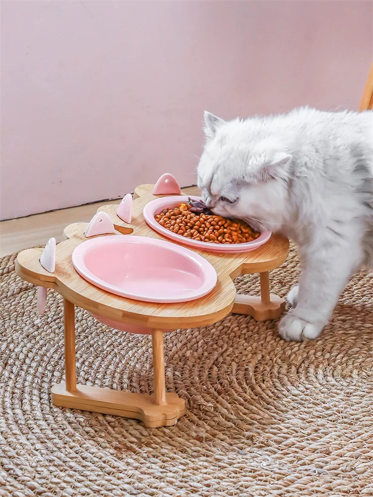 Raised Ceramic Food & Water Set