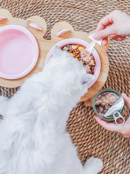 Raised Ceramic Food & Water Set
