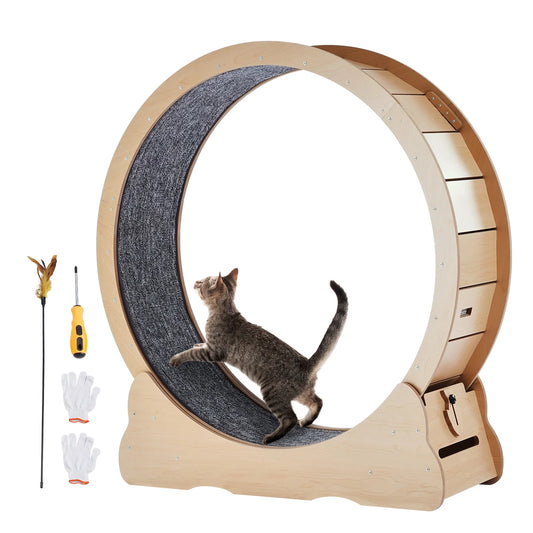 Rueda de ejercicio de madera para gatos — Pista de correr interior